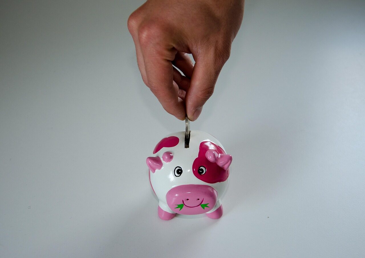 save up, piggy bank, money, economical, ceramic, finance, coins, cash injection, euro, capital, spar slot, hand, saved up, interest charges, savings book, financial institution, world savings day, thrift, save money, sparkasse, cashbox, retirement provision, income, merit, savings rate, cash, wealth, save on, bank, savings, coin, banking, piggy bank, piggy bank, piggy bank, piggy bank, piggy bank, save money